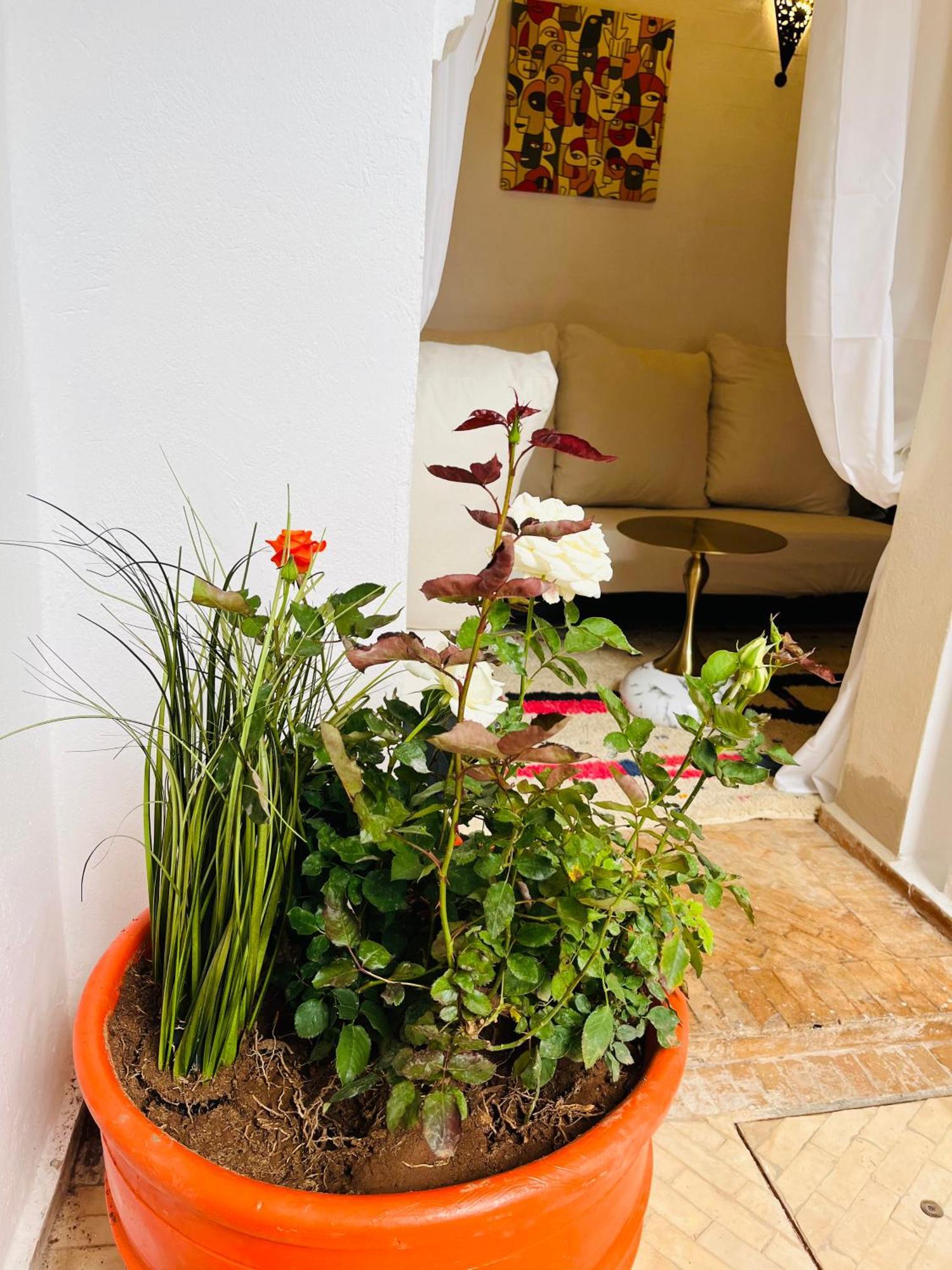 Riad Darna 4 Chambres Avec Piscine Et Petit Dejeuner Marrakesh Exteriör bild